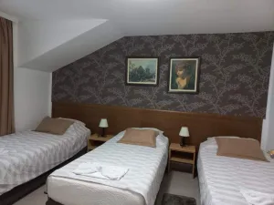 apartman2_de_lux_vesna001