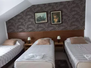 apartman2_de_lux_vesna003