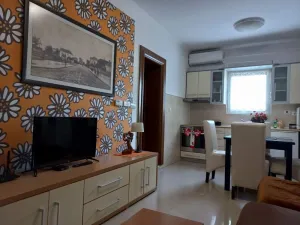 apartman3_de_lux_vesna001v