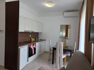apartman4_de_lux_vesna005