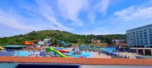 jasa_apartman1_001